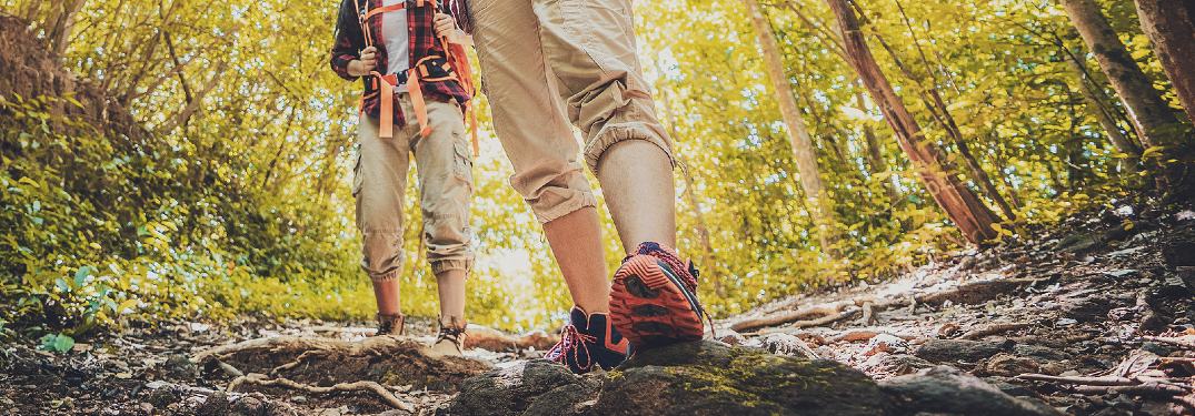 Where Can I Go Hiking in Central Florida?